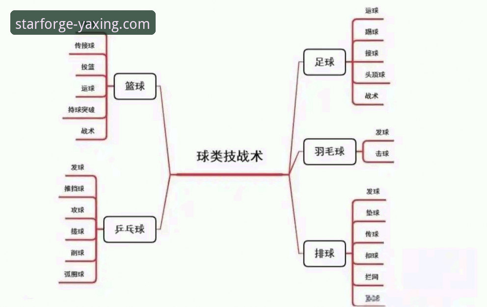 实战复盘：中国女篮变阵取胜背后的战术深度解析
